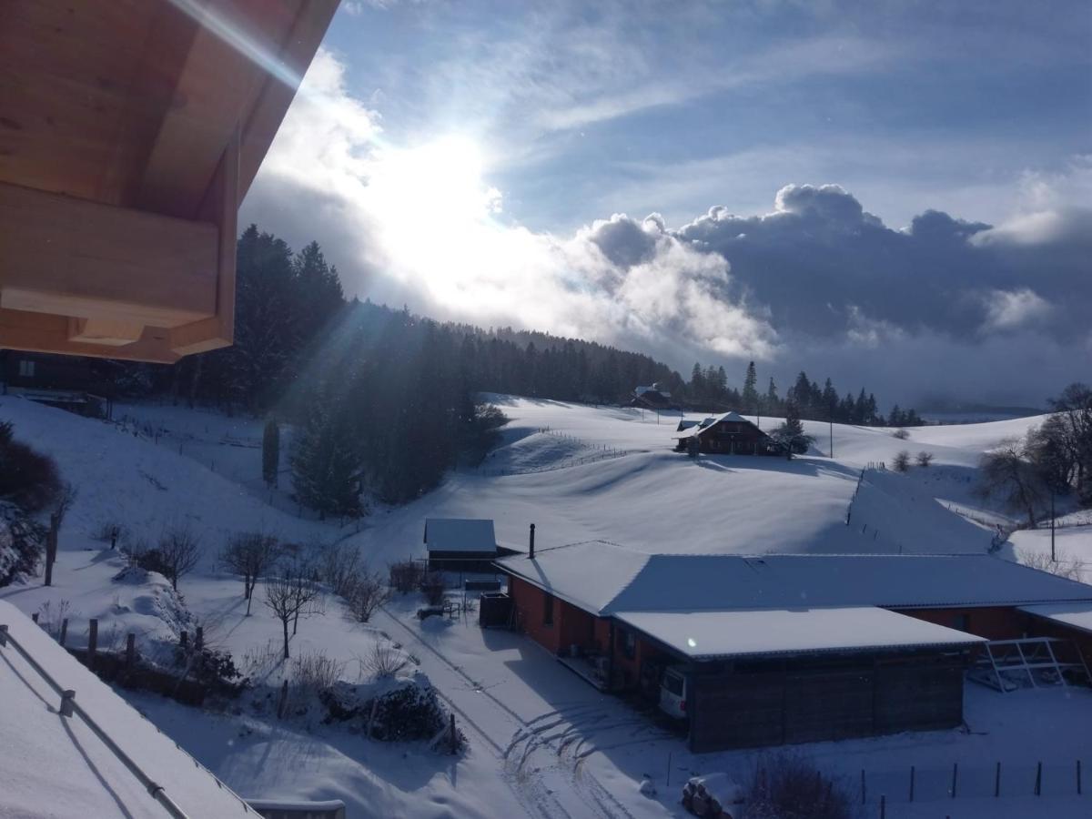 Gantrisch Lodge Ruschegg Luaran gambar